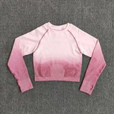 2PCS Ombre Seamless Women Sports Suit